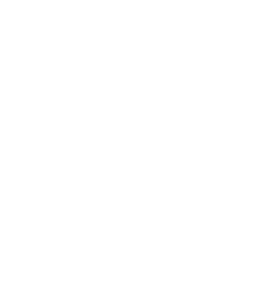 object